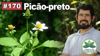 Autor da Própria Saúde  Picãopreto 2 febres hipertensão diabetes gastrite anemia hemolítica [upl. by Addia]