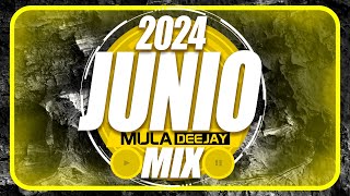 Sesion JUNIO 2024 MIX Reggaeton Comercial Trap Flamenco Dembow Mula Deejay [upl. by Curcio590]