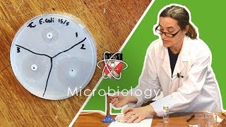 Microbiology  GCSE Science Required Practical Triple [upl. by Lucas]