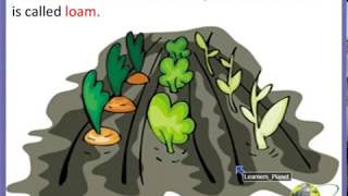 CBSE Grade 4 Science Soil video lesson [upl. by Eanyl]