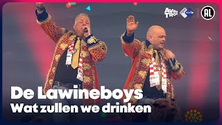 De Lawineboys  Wat zullen we drinken  Sterren NL Carnaval 2023 [upl. by Nnylannej]