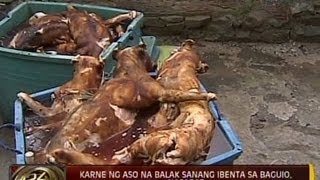 24Oras Karne ng 68 aso na balak sanang ibenta sa Baguio nasabat sa Pampanga [upl. by Anead460]