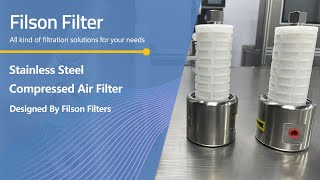 Stainless Steel Compressed Air FilterSS 304316L Housing and Glass Fiber PP PTFE Filter Element [upl. by Illac]