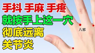 手抖、手麻、手疼，就按手上这个穴位，防治关节炎有奇效【养生大中医】 [upl. by Sidwel11]