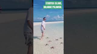 Starfish Island Balabac Palawan [upl. by Nauht612]