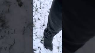 ASMR Walking In The Snow With My Boots Heel Clicking Sounds ❄️🌨️👢👢 [upl. by Ysdnyl223]