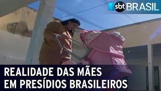 Levantamento traça a realidade de mães em presídios brasileiros  SBT Brasil 200522 [upl. by Raven153]