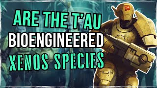 Tau Empire The BASTARD CHILD Of Socialism And Silicon Valley  Warhammer 40K Lore [upl. by Primavera]