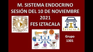 M Sistema Endocrino Sesión del Miércoles 10 de Noviembre del 2021 [upl. by Laniger710]