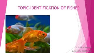 Identification of FishesPractical work Lalita Sukhija [upl. by Ecinereb903]