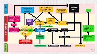 Síndrome metabólico FISIOPATOLOGÍA [upl. by Llennoj]