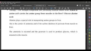 L74 Glucose alanine cycle [upl. by Ditmore991]