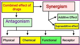 Combined Effect of Drugs [upl. by Meikah]