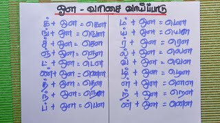 ஔ  வரிசை வாய்ப்பாடு  தமிழ் எழுத்துக்கள்  Tamil  Rising Tamil [upl. by Koslo68]