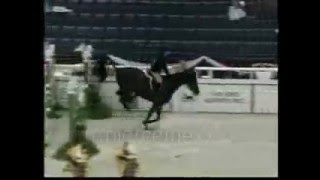 Brianne Goutal2004 WIHS Equitation Finals [upl. by Yun584]