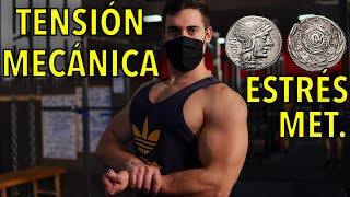 HIPERTROFIA MUSCULAR 20 TENSIÓN MECÁNICA y ESTRÉS METABÓLICOCiencia y ejercicio en 2 min [upl. by Petr913]