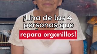 La Reparadora de organillos de Tepito [upl. by Regazzi]