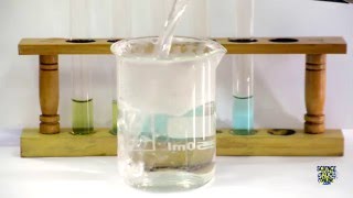 Food Tests  Iodine Biuret Benedicts Ethanol DCPIP [upl. by Gregg193]