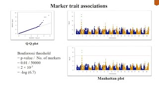 Genome Wide Association Study GWAS  Association mapping  Linkage Disequilibrium mapping [upl. by Mears355]