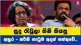 සුදු රැවුලා ගිනි තියපු අනුර  හරිනි ගැටුම අදත් පත්තුවේ [upl. by Pool]