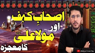 Ashab Kahf or Moula Ali as Ka Mojza  Sheikh Hassan Allahyari Surprise QampA  Shia vs Sunni Debates [upl. by Herm]