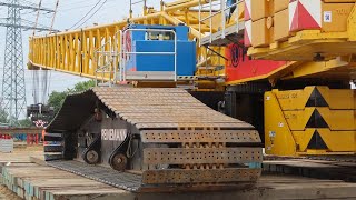 HÜFFERMANN LIEBHERR LTM 125051 beim Aufbau einer PEINEMANN LR 16002 [upl. by Vallo990]