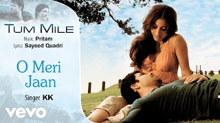 O Meri Jaan Audio Song  Tum MileEmraan HashmiSoha Ali KhanPritamKKSayeed Quadri [upl. by Vasya]