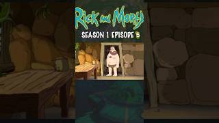 Mortys big Adventure  Rick And Morty  Season 1 Episode 5 [upl. by Persas243]