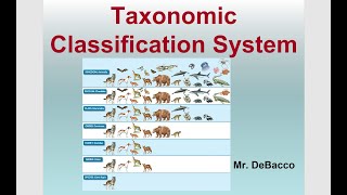 Taxonomic Classification [upl. by Reyna538]