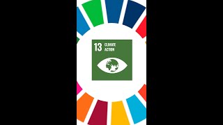 What are the UN Sustainable Development Goals [upl. by Naasar]