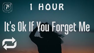 1 HOUR 🕐  Astrid S  Its Ok If You Forget Me Lyrics [upl. by Aelahs754]