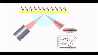 Surface Plasmon Resonance Explained [upl. by Mixie]