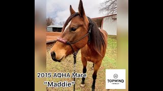 2015 AQHA Mare  “Maddie”  Ranch Versatility Pleasure Show Reining Trails  SOLD [upl. by Oiceladni]