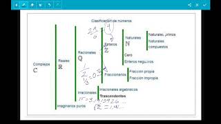 Clasificación de Números  Representaciones Simbólicas y Algoritmos  CAED [upl. by Nnylyrehc]