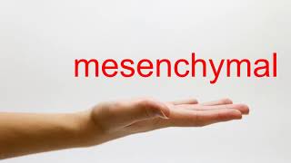 How to Pronounce mesenchymal  American English [upl. by Yeslehc]