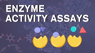 enzyme activity assays [upl. by Aivatahs]