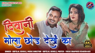 Gofelal Gendle  Diwani Mola Chhod Debe Ka  New Cg Song [upl. by Yrred]