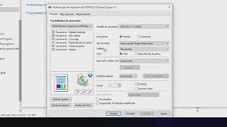 Instalar Perfil de color y configuración de impresora EPSON para Sublimación [upl. by Gentille]