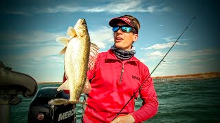 New Mexico Walleye Fishing  Lindners Fishing Edge 2016 S8 [upl. by Brendis284]