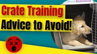 Crate Training A Puppy  Crate Training Advice to Avoid 😲 [upl. by Africa]