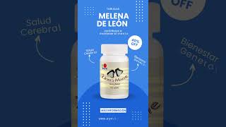 MELENA DE LEÓN DE DXN  Conoce los beneficios del hongo Melena de León [upl. by Alvie411]