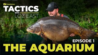 Tactics with Loz East  EP1 The Aquarium  Carp Fishing Tips  Stunning Carp 😍 [upl. by Esojnauj]