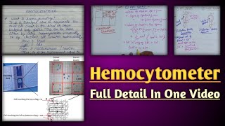 Hemocytometer  hemocytometer rbc count  calculation in neubaur chamber [upl. by Amorita]