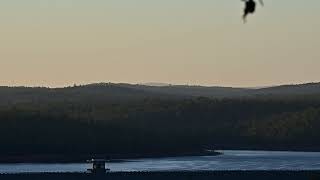 the sound of Baudins black cockatoos Video is of Wungong dam Bedfordale Western Australia [upl. by Nibroc]