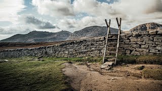 Star of the County Down  lyrics  Irish traditional song [upl. by Wickner]