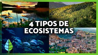 TIPOS de ECOSISTEMAS y sus CARACTERÍSTICAS 🏔️🏝️ Terrestres Acuáticos Mixtos y Artificiales [upl. by Tuck]