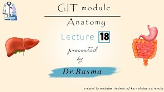 18 Liver from Ligaments amp Extra hepatic Biliary systemAnatomy GIT Dr Basma [upl. by Venetis]