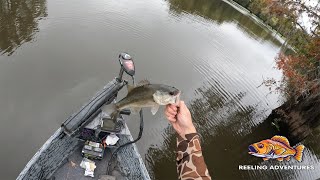 Bass Fishing Showdown Chasing Big Bites in the Swamp [upl. by Hamo]