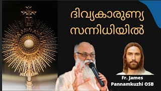 ദിവ്യകാരുണ്യ ആരാധന Fr James Pannamkuzhi OSBMalayalam catholic adoration [upl. by Ellenaj632]