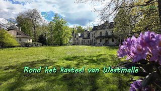 Rond het kasteel van Westmalle [upl. by Lynnworth14]